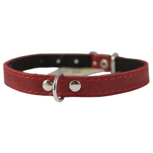 Genuine Leather Felt Padded Dog Collar X-Small 11" x1/2" Wide Fits 8"-10" Neck, Chihuahua, Puppies