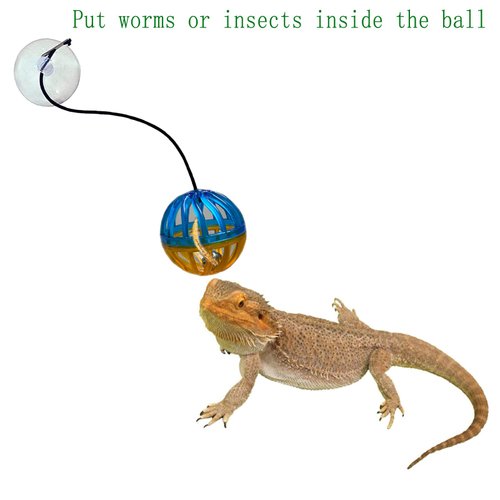 Koomduk 6 Pack Bearded Dragon Toys, Accessories, Balls Bell,Fit for Lizard Small Reptile Habitat Terrarium Tank