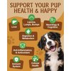 Mushroom Supplement for Dogs - Lipoma for Dogs - 9 Organic Mushroom with Turkey Tail, Reishi, Lions Mane - Digestive, Cellular, Immune Health Support - Dog Lumps and Bumps Treatment - 100 Scoops