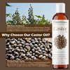 Castor Oil 2 fl. oz. Unrefined, 100% Pure Natural Hexane-Free, USP Grade, Hair Growth, Eyebrows and Eyelashes. Skin, Face and Body Moisturizer.