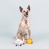 Fringe Studio Plush Dog Toy Set, Change in Weather, 2 Piece Set, Pet Shop Collection (312030)