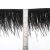 AWAYTR Ostrich Feather Trim Fringe - Satin Ribbon Dress Sewing Crafts Costumes Decoration Pack of 2 Yards (Black)
