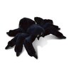 DolliBu Black Spider Super Soft Stuffed Animal, Cute Realistic Stuffed Animals for Girls. Boys and Adults Animal Gifts, Kids Spider Nursery Décor, Cuddly Spider Plush Toys - 8 inches
