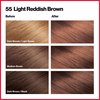 Revlon Permanent Hair Color, Permanent Hair Dye, Colorsilk with 100% Gray Coverage, Ammonia-Free, Keratin and Amino Acids, 55 Light Reddish Brown, 4.4 Oz (Pack of 3)