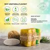 SABUN CO. Donkey Milk Soap with Honey - Natural Exfoliating Loofah Soap Bar - Nourishing, Hydrating, Moisturizing Handmade Soap for Face and Body - Soap with Loofah Inside [4.4 oz - 125 gr]