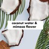 Love Beauty & Planet Luscious Hydration Body Lotion Coconut Water and Mimosa Flower 13.5 oz (Pack of 1)