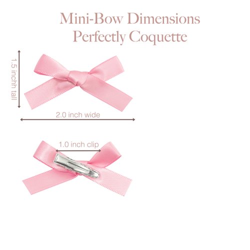 DRIPPYGOODS - Mini Ribbon Bow Hair Clips for Women and Girls, 24 PCS, Easter Coquette Barette Hair Clip Accessories