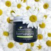 Nelson Naturals Activated Charcoal Toothpaste 3.3 oz- Peppermint