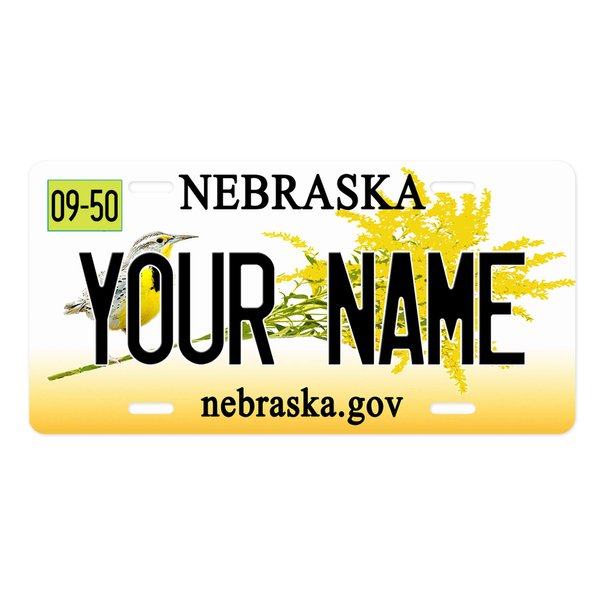 Bleu Reign Personalized License Plate 2016 Nebraska Car Vehicle, Add Custom Name (6x12in)