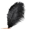 Soarer Black Ostrich Feathers Bulk - 30pcs 8-10 inches for Wedding Party Centerpieces, Home Decorations and DIY Crafts(Black)
