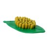 Insect Lore Live Baby Ladybug Larvae - Ladybug Growing Kit REFILL with Ladybug Life Cycle Toy Figurines - SHIP NOW