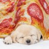 QiyI Pizza Blanket for Adult Kids, Double Sided Giant Food Throw Blanket, Funny Pizza Gifts, 60" Novelty Round Blanket, Warm Soft Tortilla Blanket
