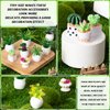 26Pcs Miniature Potted Plants, Mini Artificial Plants, 1:12 Scale Doll House Accessories, Suitable for Dollhouse Decoration, Christmas Birthday Present, DIY Handicrafts