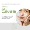 Honeybee Gardens Purifying Gel Cleanser, 5.1 fl. oz. | Certified Vegan & Cruelty Free | For All Skin Types