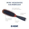 Kent KB Minihog Headhog Detangling Travel Hair Brush, Black Rubber Cushion Detangler Brush and Scalp Brush with Firm Rounded Plastic Bristles for Women Men and Kids Everyday Care, Made in England