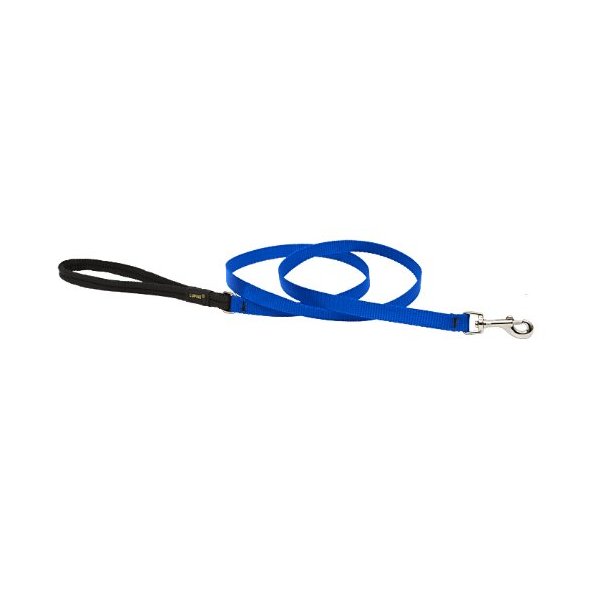LupinePet Basics 1/2" Blue 6-Foot Padded Handle Leash for Small Pets
