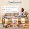Scentsationals Wax Melts, Wax Cubes Strong Scent - Strawberries & Cream - Long Lasting Scented Melts for Warmer, 10oz (24-Cubes)