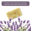 Dr Jacobs Naturals, Triple Milled Loofah Exfoliating Castile Bar Soap (Pack of 2) - Free of Parabens, Sulfates, Synthetics, Gltuen and GMO (Luscious Lavender)