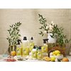 Caldrea Dish Soap, Biodegradable Dishwashing Liquid made with Soap Bark and Aloe Vera, Sea Salt Neroli, 16 oz
