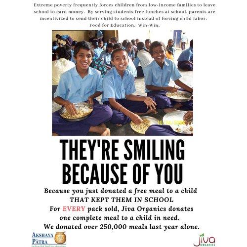 Jiva Organics Organic Millet Flour 2 Pound Bag - Bajri, Bajra, 100% Natural & Non-GMO