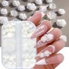 Tyuimhx Flowers Nail Charms 3D Resin White & Aurora Clear Rose Designs Nail Art Charms for Acrylic Nails Flatback Floral Nail Supplies for Women Girls DIY Manicure Decorations Crafts (6 Grids)