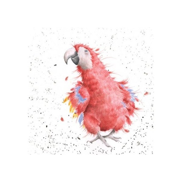 "Parrot On Parade" greeting card