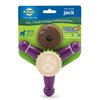 PetSafe Busy Buddy Jack - Treat Holding Dog Chew Toys - Helps Clean Teeth - Vanilla Scented Rubber for Strong Chewers - Treat Refills Included, Interactive Dog Toy Helps Keep Dogs Busy, Purple, Medium