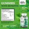 Wild & Organic Ginkgo Biloba Gummies - Brain Supplement & Mental Support Gummy for Better Mood & Focus - Energy Booster Herbal Supplements - Vegan Non-GMO - 120mg, 60 Chews