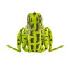 Lunkerhunt Frog Fishing Lure for Bass Fishing | Popping Frog 0.5 oz | Topwater Fishing Bait with Weedless Hooks, Hollow Body (Green Tea)
