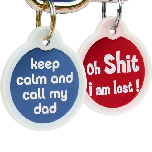 GoTags Funny Dog and Cat Tags Personalized with 4 Lines of Custom Engraved Text, Dog and Cat Collar ID Tags Come with Glow in The Dark Silencer to Protect Tag and Engraving, (Indoor Cat Only)