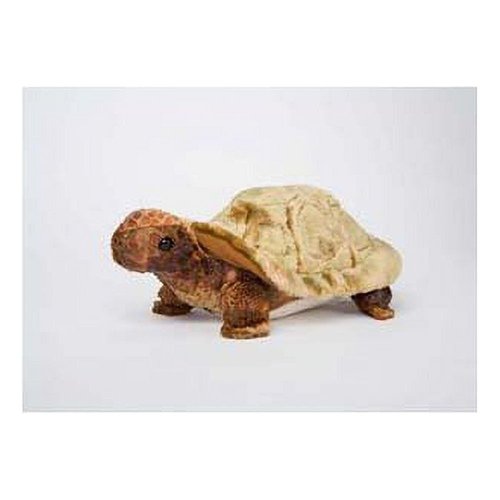 Douglas Speedy Tortoise Plush Stuffed Animal