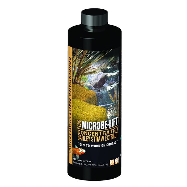 MICROBE-LIFT MLCBSE500 Concentrated Barley Straw Extract Conditioner for Ponds and Outdoor Water Garden, Safe for Live Koi Fish, Plants, and Decorations, 16 Ounces