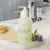 Alice + Co. Body Wash - Fairfield by Marriott - TownePlace - SpringHill - Hotel Bath Amenities - Lavender & Eucalyptus - 8.5 oz Body Wash