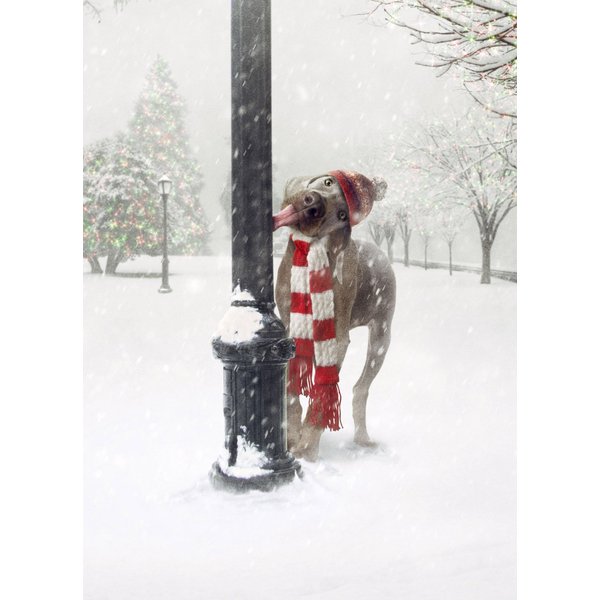 Avanti Press 32522 Christmas Cards, Dog Tongue Stuck on Pole, 20-Count