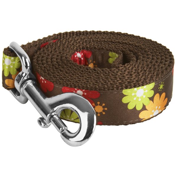 Paw Paws USA Sublime Lime Dog Leash, Small, Multicolored