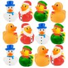 The Dreidel Company Christmas Holiday Rubber Duck Toy Duckies for Kids, Bath Birthday Gifts Baby Showers Summer Beach and Pool Activity, 2" (12-Pack)