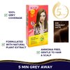 Speed Touch 5 Minute Hair Dye - Natural Alternative to Henna Hair Color Grey Coverage For Women and Men - Hazelnut Latte - Ammonia Free With Botanical Extracts