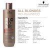 BLONDME All Blondes Rich Shampoo – Nourishing and Hydrating Rich Regimen – Moisturizing Shampoo for Normal to Coarse Color Treated and Natural Blonde Hair, 300ml
