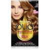Garnier Hair Color Olia Ammonia Free Permanent 7.0 Dark Blonde (1 Kit) Blonde Hair Dye