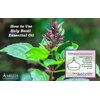 Amrita Aromatherapy: Organic Holy Basil (Tulsi) Essential Oil; 100% Pure and Undiluted Ocimum Sanctum; Premium Quality Aromatherapy Oil; Tested and Verified, Size: 10 mL (0.34 Fl. Oz.)