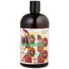 Organic Shampoo-With Aloe vera-Vitamin E- Rose Hips-Hemp-Castor Oil-Tea Tree- Argan- Macadamia- Coconut & Jojoba Extract-Sulfate/Paraben Free- For All Hair Types - Men & Women (16 OZ)