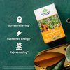 ORGANIC INDIA Calming Tulsi Ashwagandha Tea - Organic Tea Bags, Holy Basil Tea, Vegan, USDA Certified Organic, Non-GMO, Caffeine Free Tea - 18 Infusion Bags, 1 Pack