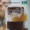 Dr. Benjamin Handmade Natural EM/Effective Microorganism Technology and Herb Bath Bar Soap (Houttuynia Cordata, 10 pack)