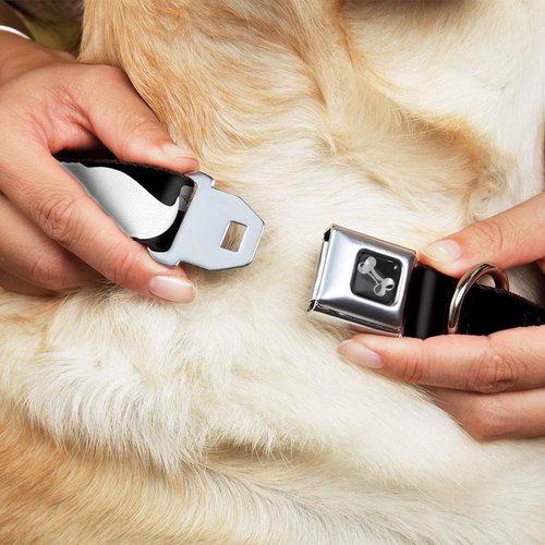 Dog Collar Seatbelt Buckle Mustache Black White 16 to 23 Inches 1.5 Inch Wide