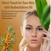 Bella Terra Oils - Organic Sea Buckthorn Oil 2 oz - Dive into Rich Essence of Organic Sea Buckthorn Berry, Packed with Vitamin C, E, & A, Omega-Fatty Acids Delight for Face