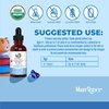 Kids Probiotic Liquid Drops by MaryRuth's | USDA Organic Probiotics for Digestive Health | Ages 4+ Gut Health & Immune Support Supplement | Overall Health | Vegan | Non-GMO | 1 Fl Oz