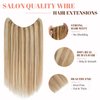 Rich Choices Wire In Hair Extensions Human Hair One Piece Secret Fish Line Hair Piece Halo Hair Extensions Real Human Hair Long Silky Straight #12P613 Golden Brown&Bleach Blonde 18 Inch