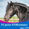 SU-PER Pre-Race Paste for Horses - Performance Support for Exercising Muscle - Buffered Creatine, Amino Acids, Herbal Extracts, Anti-Oxidants, B-Complex Vitamins - 60CC, Case of 4
