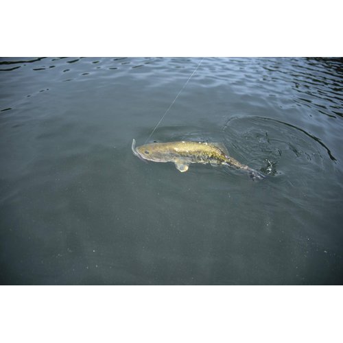 Yum Dinger Classic Worm All-Purpose Soft Plastic Bass Fishing Lure 100 Pack, Black Blue Flake, 5 Inch