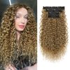Clip in Hair Extensions, FLUFYMOOZ 4PC 100％ Pure Protein Silk Hair Extensions Long Soft Natural Hairpiece 20 Inch Curly Hair Extension for Women (Dark Blonde to Light Brown)